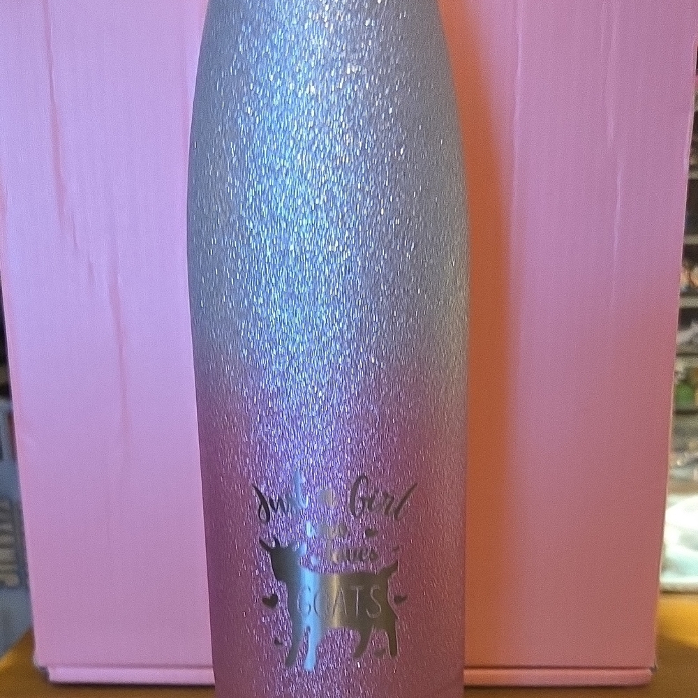 Glittery Pink and Silver Women's Insulated Bottle